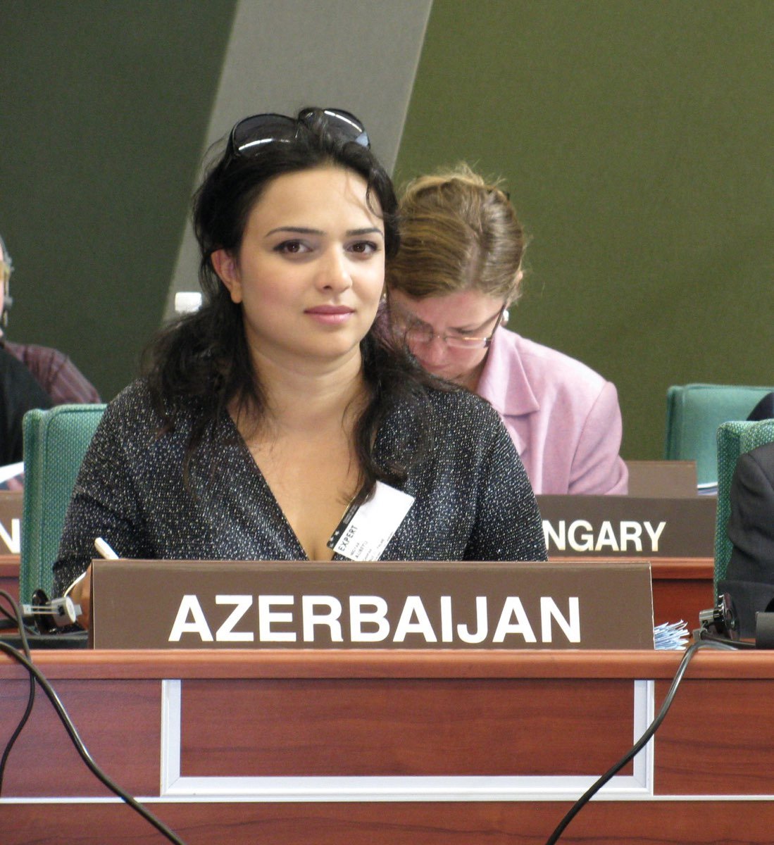 Nigar Əlibəyli | Azərbaycan Respublikası Əmək və Əhalinin Sosial Müdafiəsi Nazirliyinin sosial siyasət departamentinin Baş məsləhətçisi